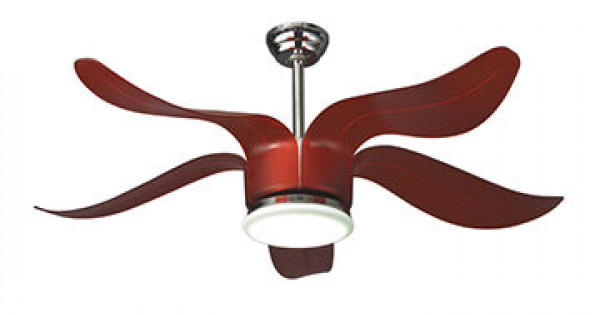 Havells maestro best sale designer ceiling fan